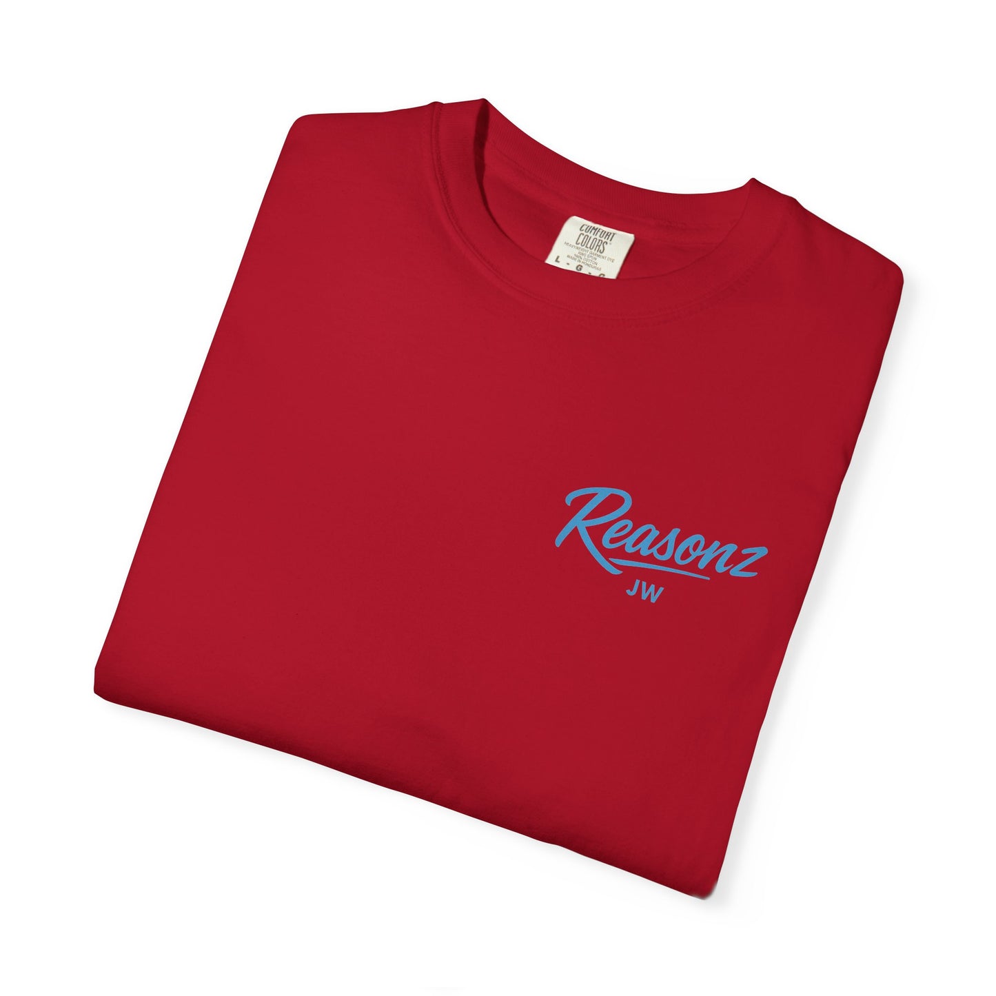 The Reasonz Tee- Reasonz JW Edition