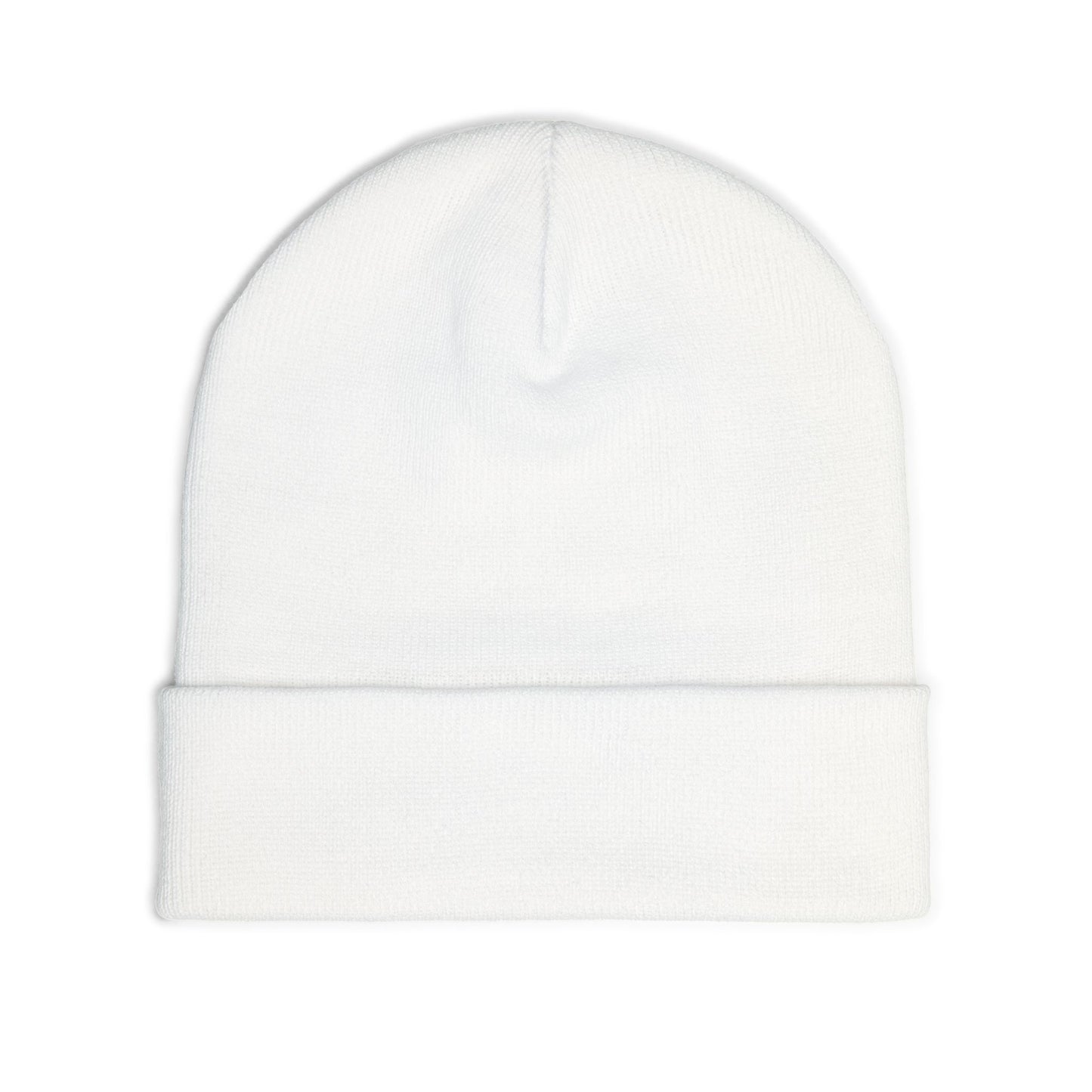 Reasonz embroidered beanie