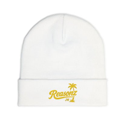 Reasonz embroidered beanie