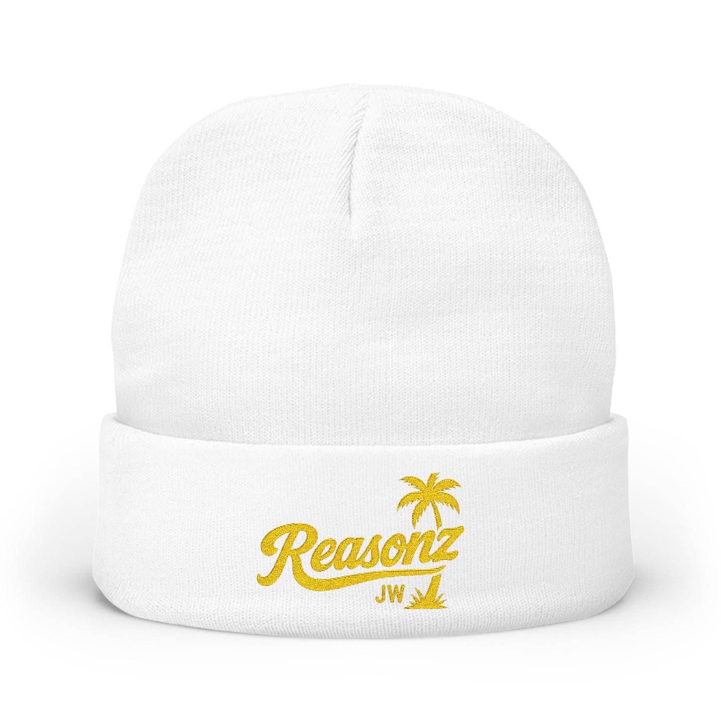 Reasonz embroidered beanie